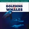 Image Of Dolphins & Whales - Music CD